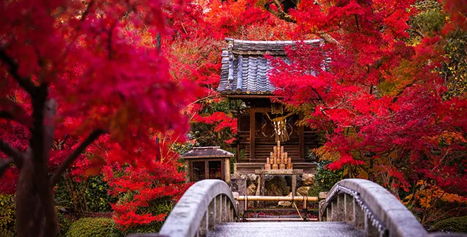 Exhibition of temple treasures and special viewing at Eikan-do and Nanzen-ji temples