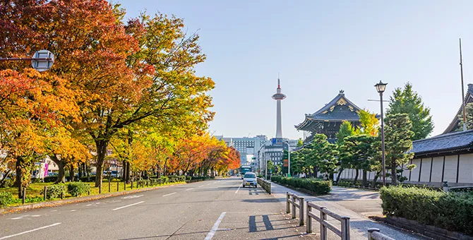The Hōonkō service at Higashi Honganji Temple and the ginkgo tree-lined street