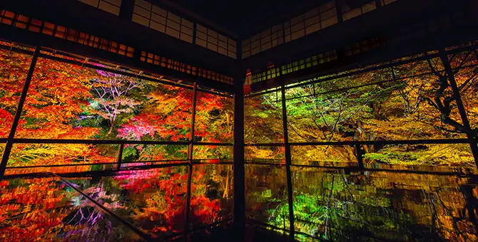 Autumn special viewing and autumn leaves at Rurikoin Temple