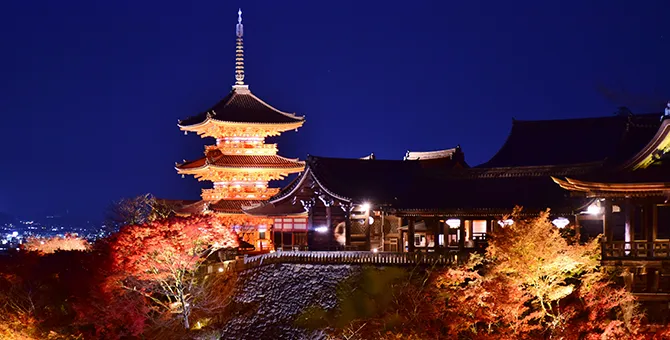 Special nighttime viewings and autumn foliage illuminations at temples and shrines in autumn