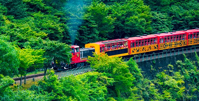 A tour of the fresh greenery along Sagano Romantic Train