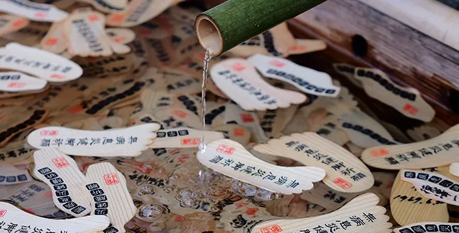 Shimogamo Shrine Mitarashi Festival